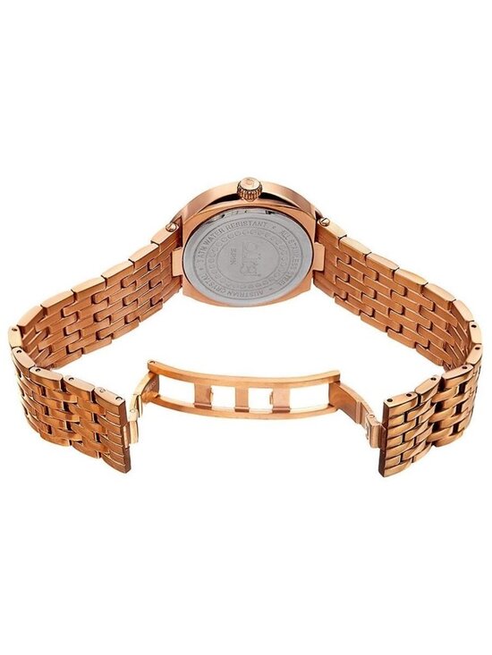 NWT Burgi Quartz Brown Dial Rose Gold-tone Ladies Watch main image 3